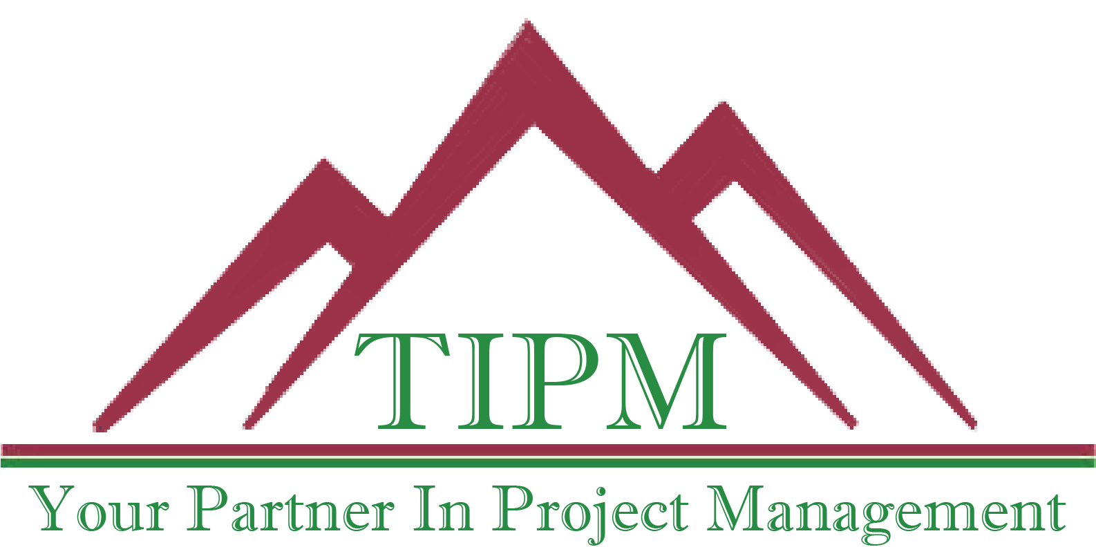 TIPM Logo